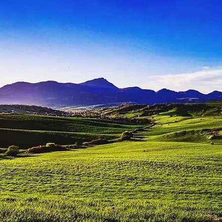 Tatil Evi Deluxe Lara *