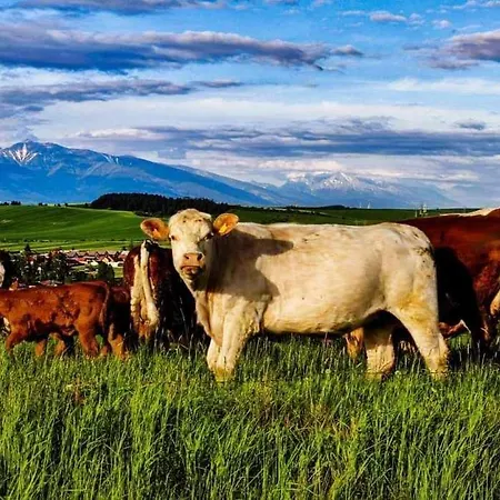 Deluxe Lara * Liptovske Sliace